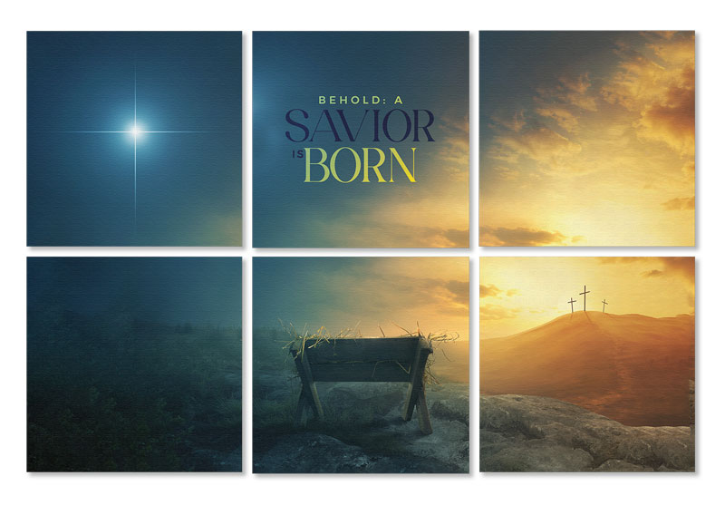 Wall Art, Christmas, Behold A Savior Is Born Set, 24 x 24