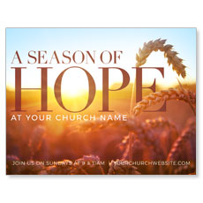 Season of Hope Wheat 