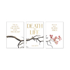 Death To Life Blossom Triptych 