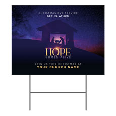 Hope Comes Alive Manger 